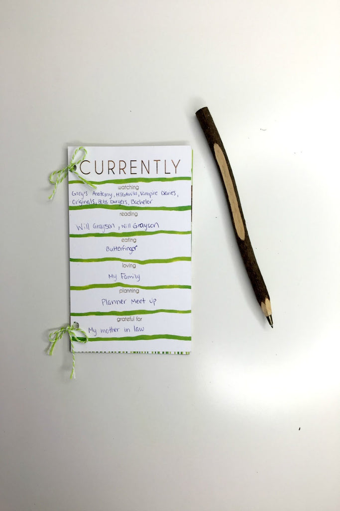 Mini Journal