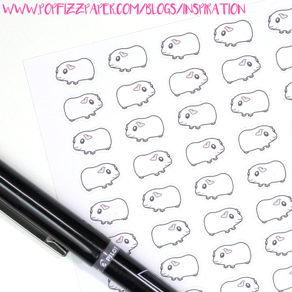 Customizing Guinea Pig Stickers