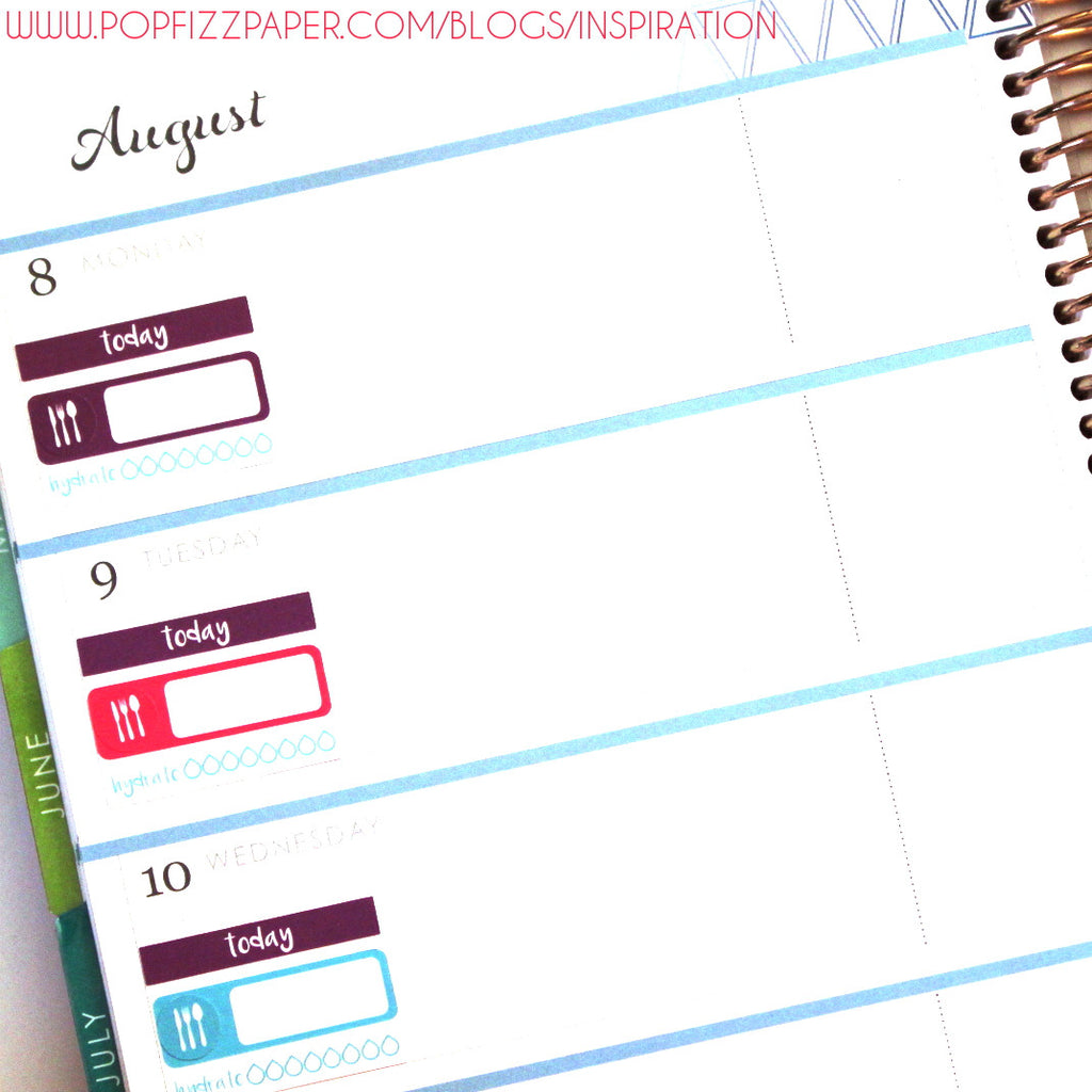 Horizontal Erin Condren Plan with Me