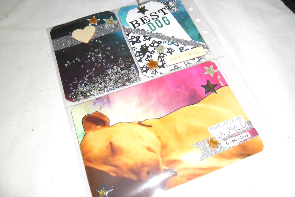 Project Life with Galaxy papers